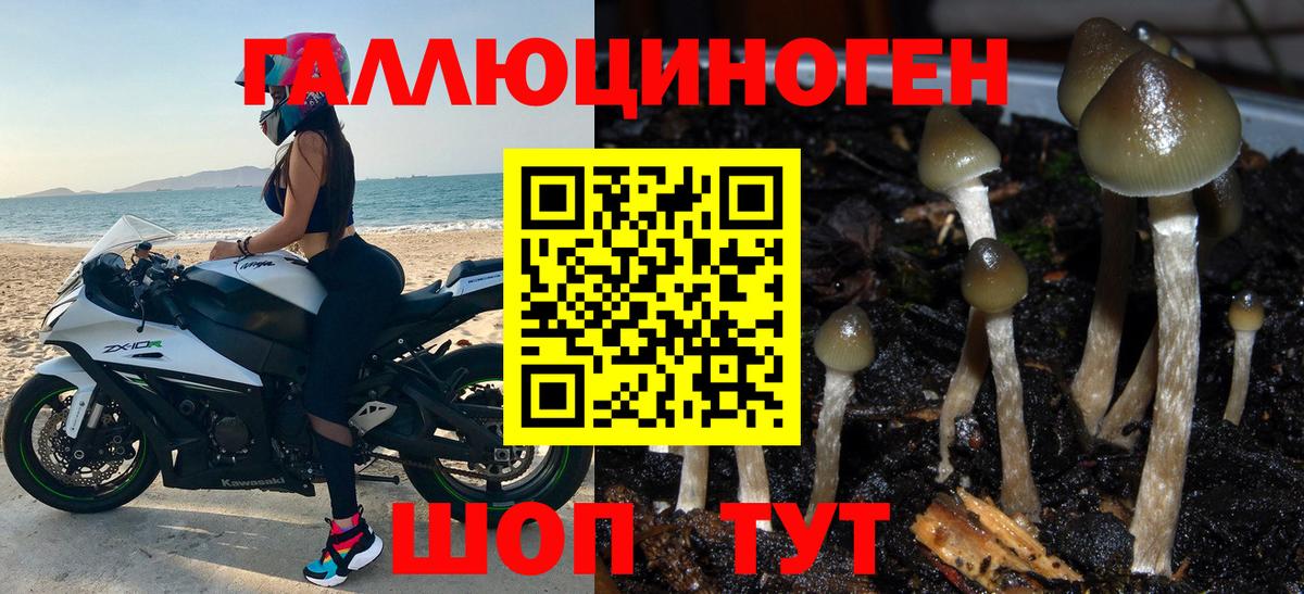 Галлюциногенные грибы мицелий Геленджик